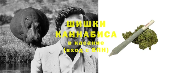 спиды Чекалин