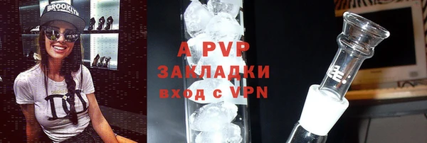 спиды Чекалин