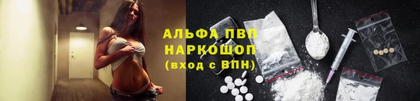 спиды Чекалин