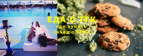 спиды Чекалин