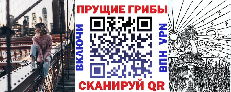 блэк спрут зеркало  Алупка  Псилоцибиновые грибы Magic Shrooms 